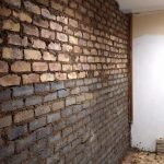 Rhinolite Companies Near Me