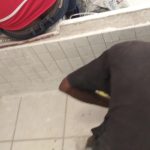 Professional Tile Installers